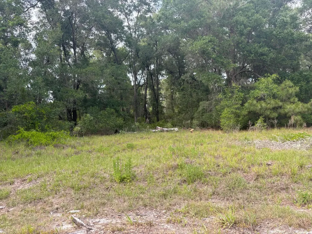 Tbd Locust Drive Court Ocala FL