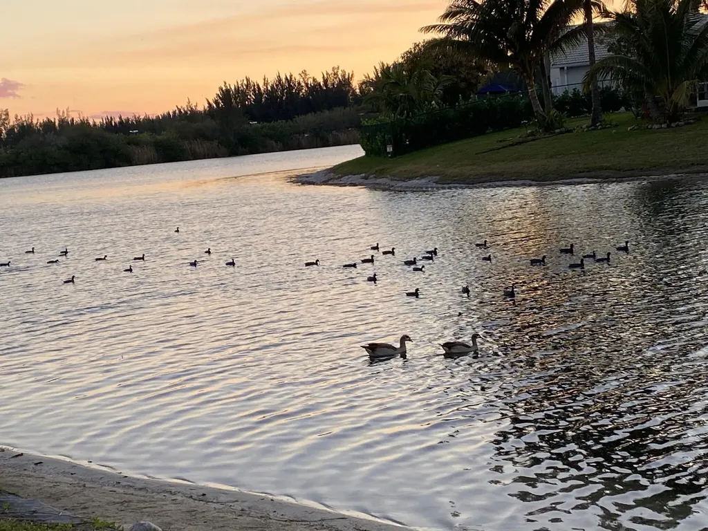 1901 Congressional Way Deerfield Beach FL 33442