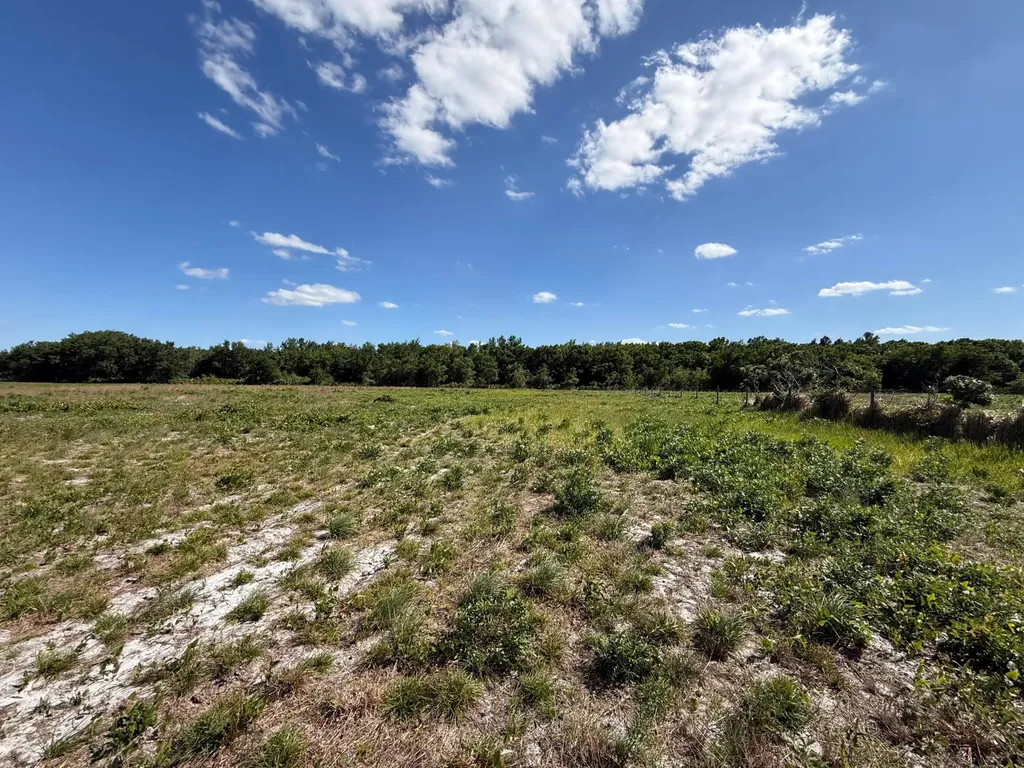 2615 Bluff Hammock Road Lorida FL 33857