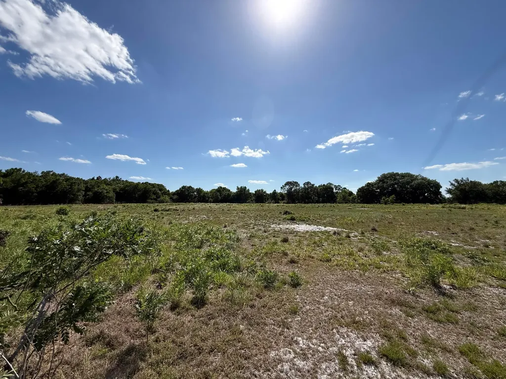 2615 Bluff Hammock Road Lorida FL 33857