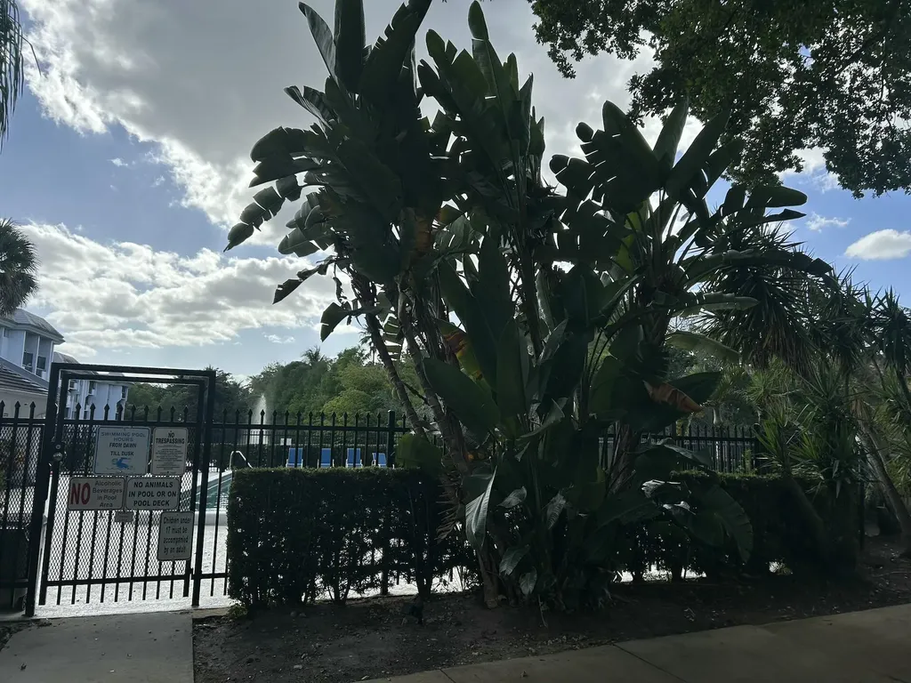 701 N Pine Island Road Plantation FL 33324