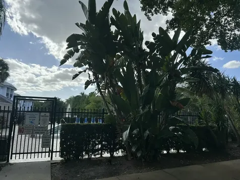 701 N Pine Island Road Plantation FL 33324