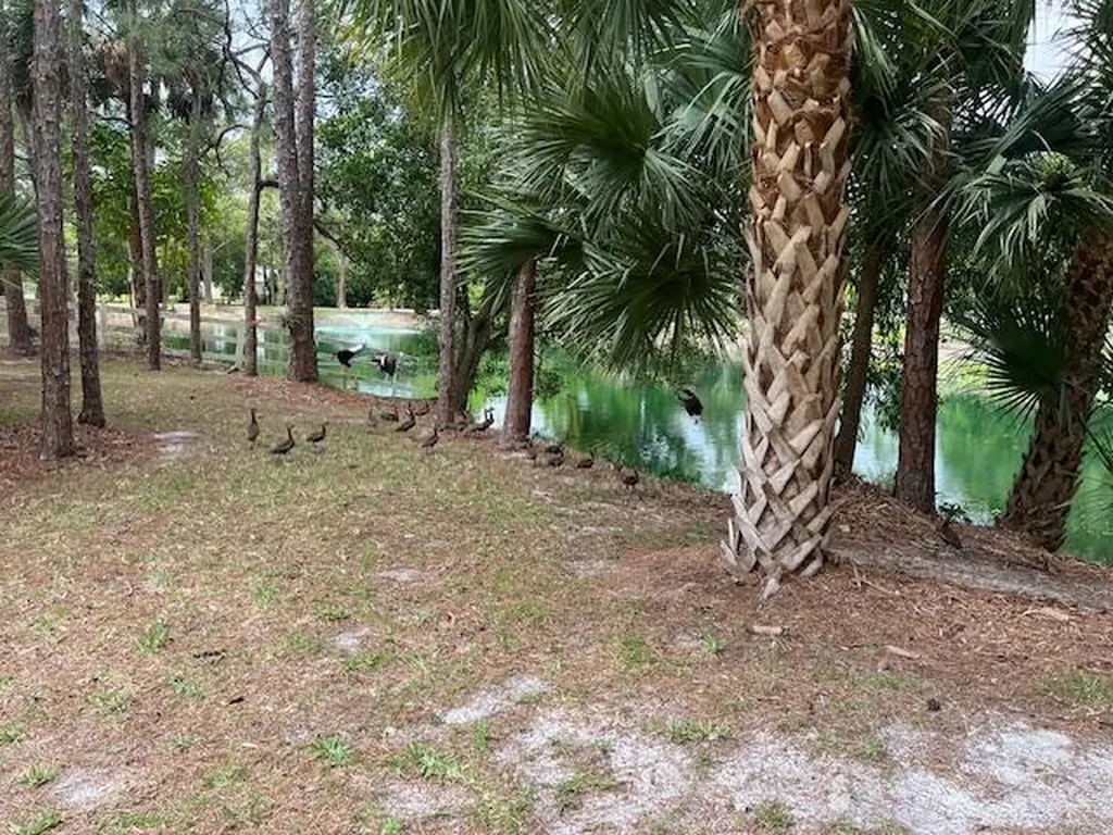 17101 Haynie Lane Jupiter FL 33478
