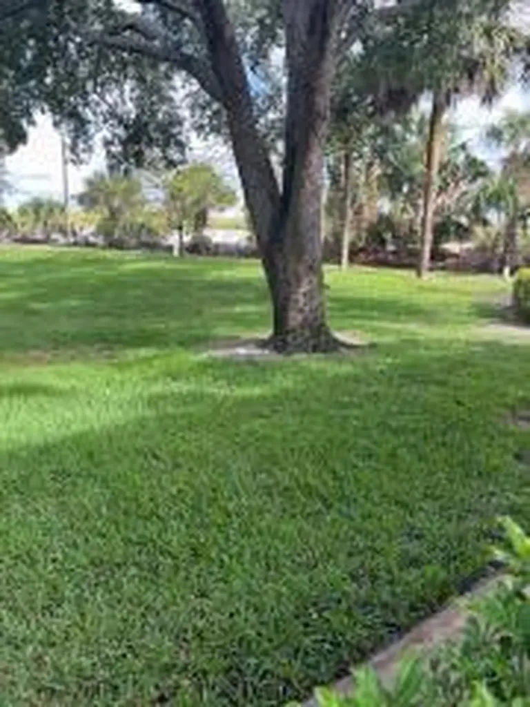 3017 30th Court Jupiter FL 33477