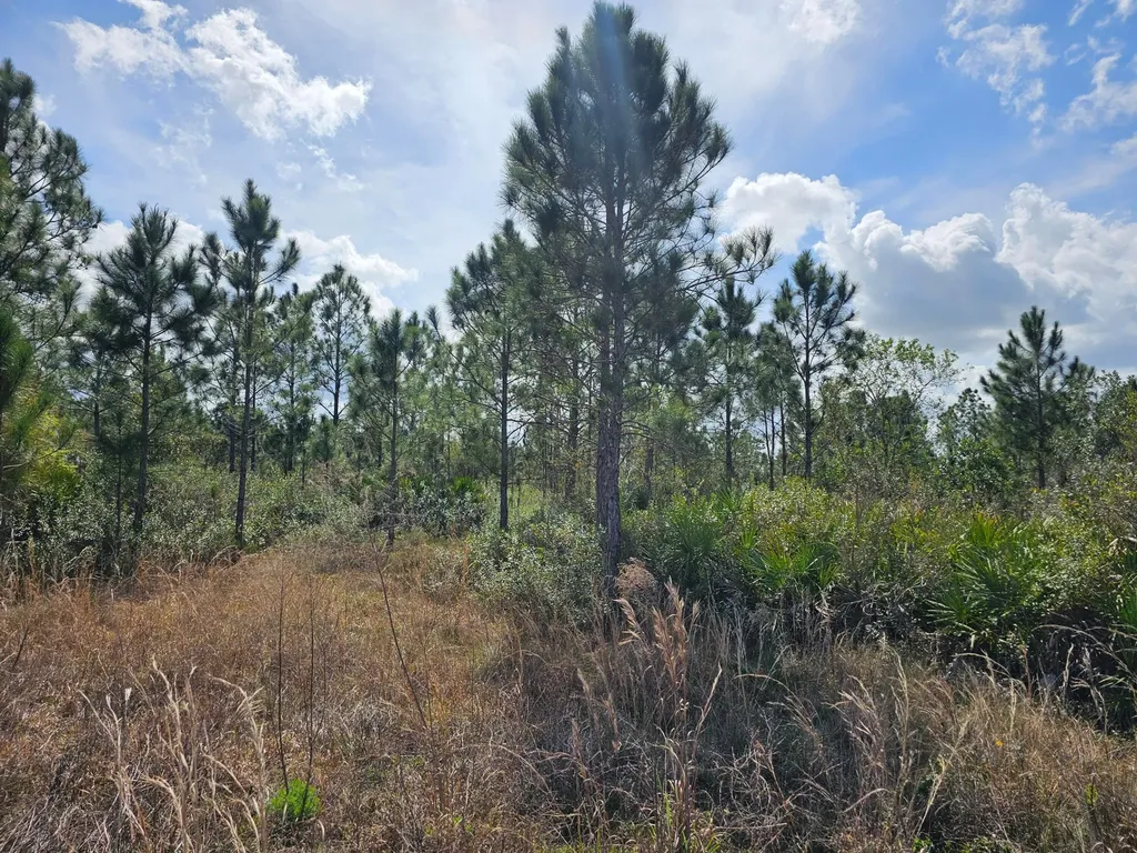 17720 NW 268th Street Okeechobee FL 34972