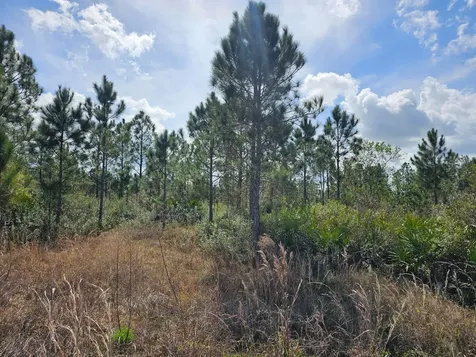 17720 NW 268th Street Okeechobee FL 34972