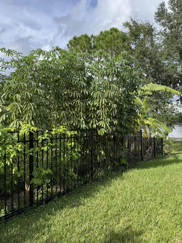 2793 NW 95th Avenue Coral Springs FL 33065