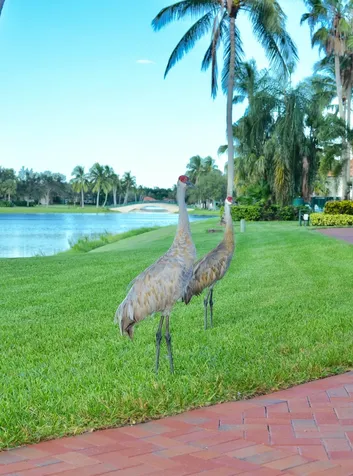 2515 Kittbuck Way West Palm Beach FL 33411