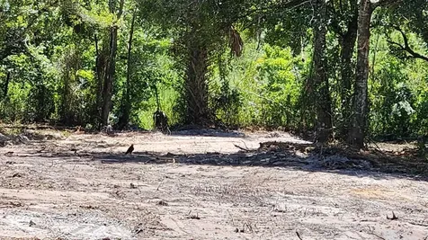 18884 NW 282nd Street Okeechobee FL 34972