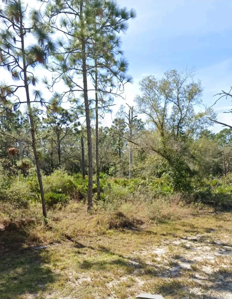 920 Gaillardia Drive Indian Lake Estates FL