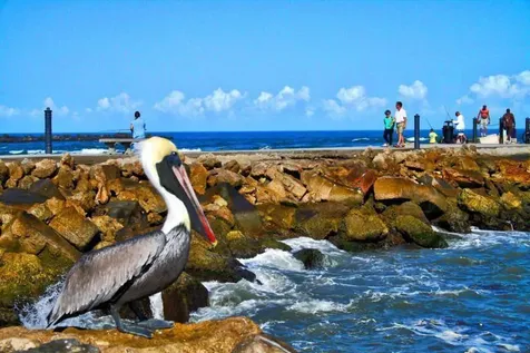 5159 N Hwy A1a Fort Pierce FL 34949