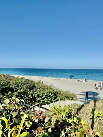 915 Bay Colony Drive S Juno Beach FL 33408