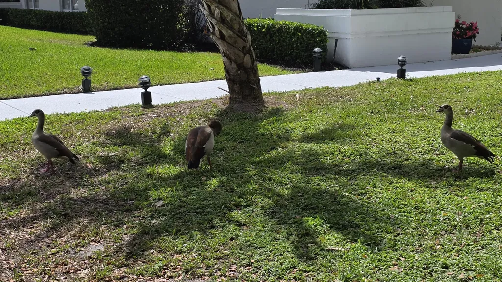7769 Mansfield Hollow Road Delray Beach FL 33446