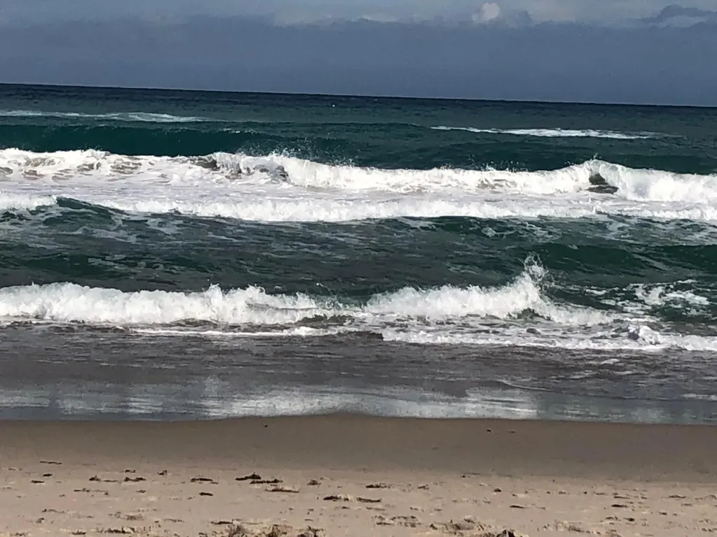 2871 N N Ocean Boulevard Boca Raton FL 33431