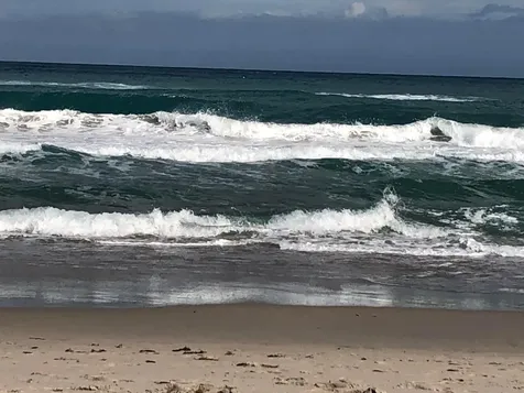 2871 N N Ocean Boulevard Boca Raton FL 33431
