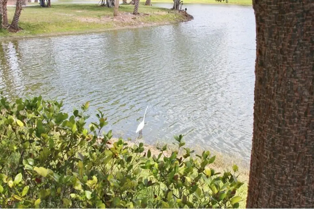 259 Sheffield K West Palm Beach FL 33417