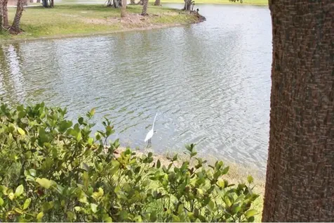 259 Sheffield K West Palm Beach FL 33417