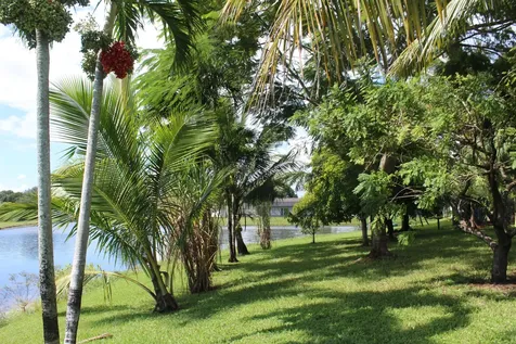 13847 Geranium Place Wellington FL 33414