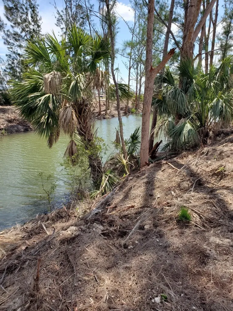 3905 NE 9th Avenue Cape Coral FL 33909