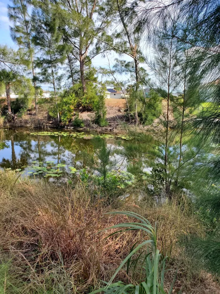 3905 NE 9th Avenue Cape Coral FL 33909