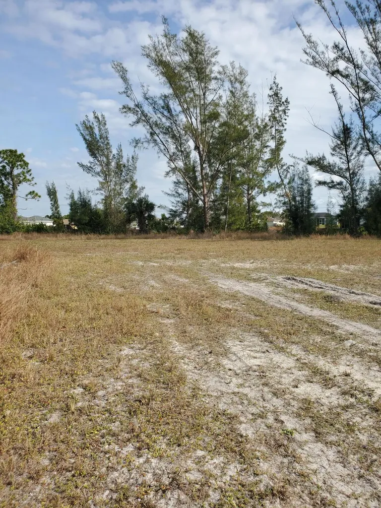 3905 NE 9th Avenue Cape Coral FL 33909