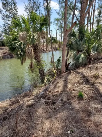 3905 NE 9th Avenue Cape Coral FL 33909
