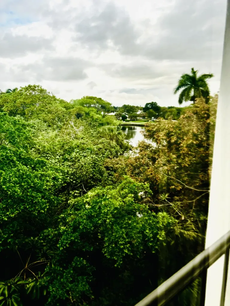 501 SW 11th Place Boca Raton FL 33432