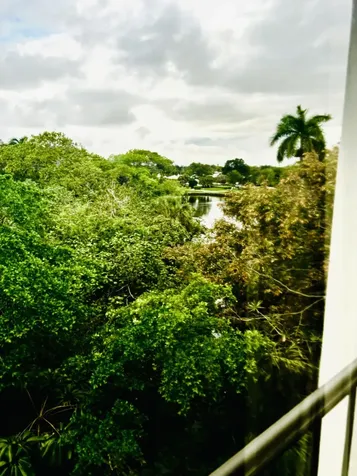 501 SW 11th Place Boca Raton FL 33432