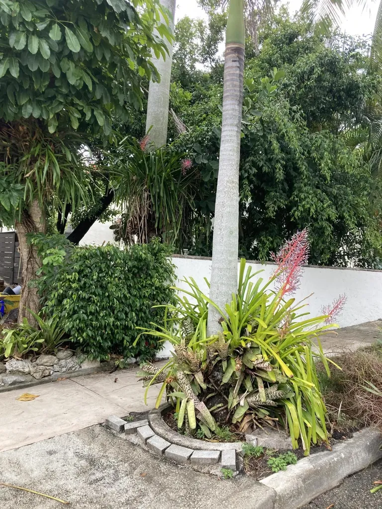 824 35th Street West Palm Beach FL 33407