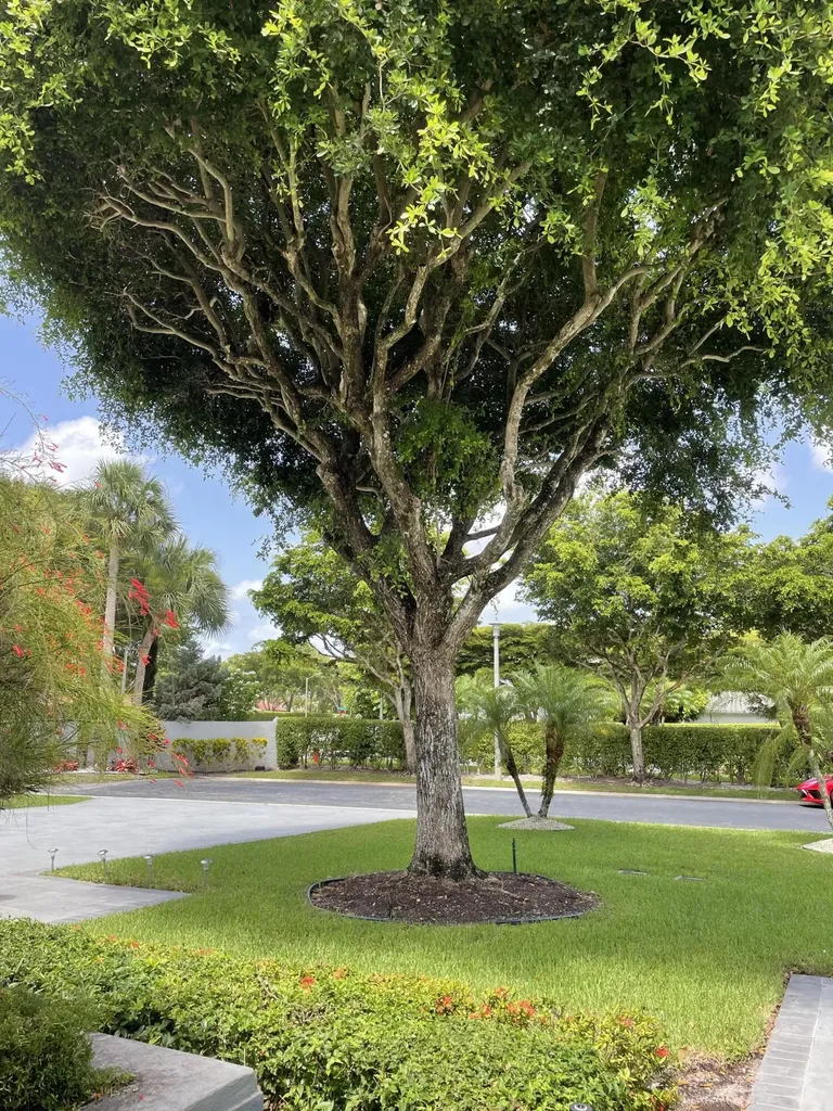 11530 Briarwood Circle Boynton Beach FL 33437
