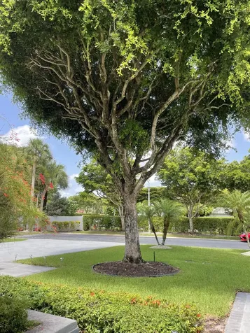 11530 Briarwood Circle Boynton Beach FL 33437