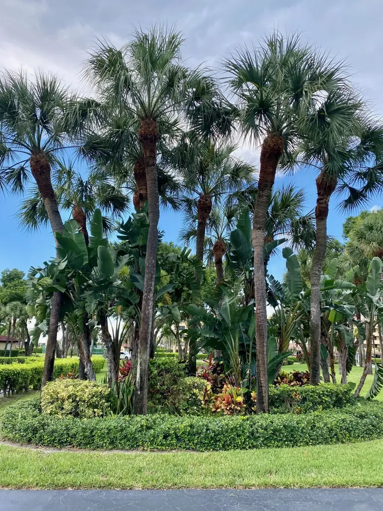 9165 SW 14th Street Boca Raton FL 33428