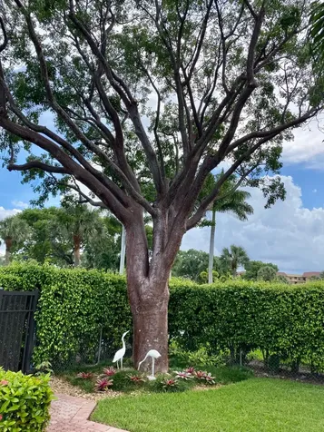 9165 SW 14th Street Boca Raton FL 33428
