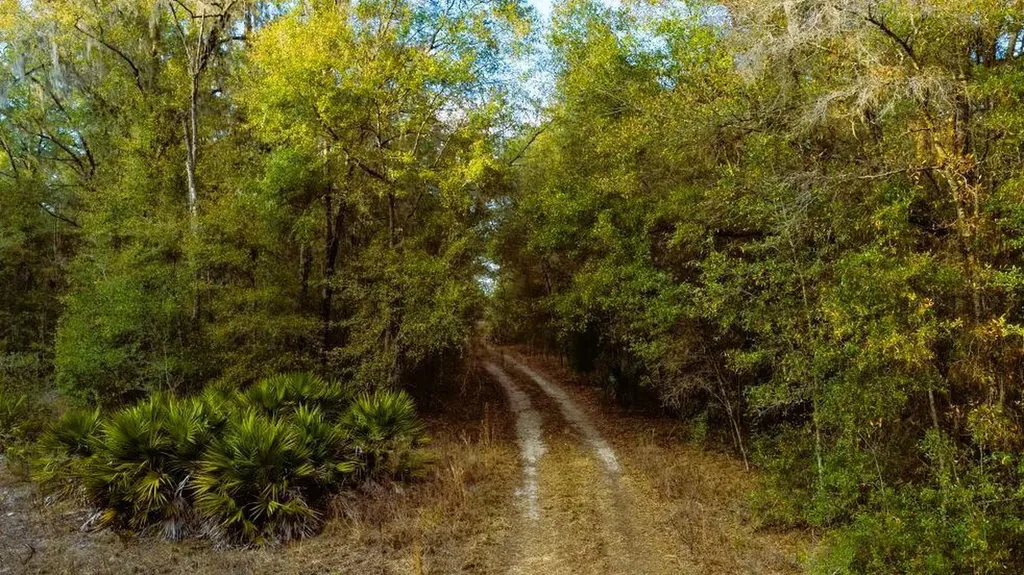 0 SW 152 Terrace Ocala FL 34481