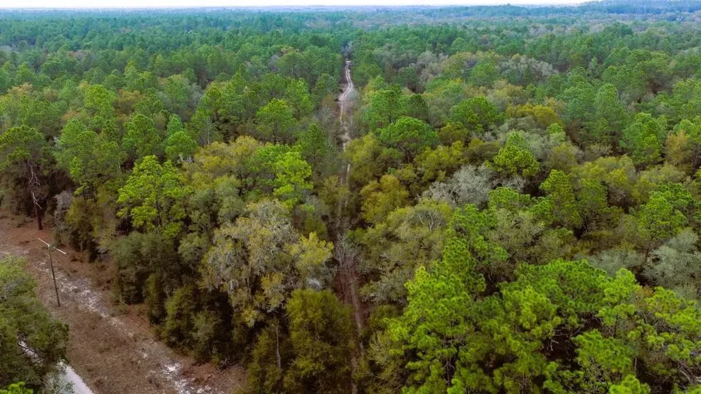 0 SW 152 Terrace Ocala FL 34481