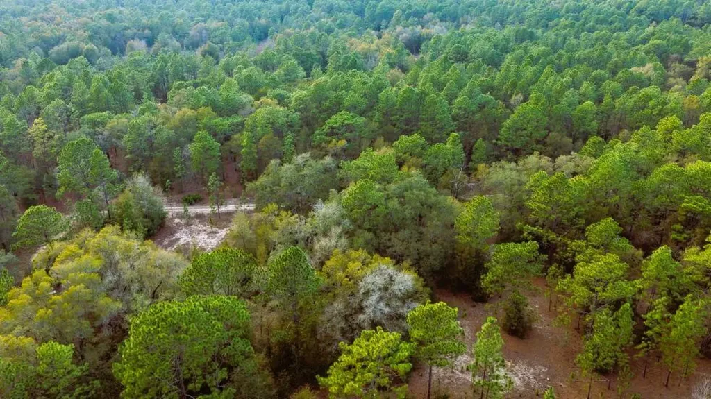 0 SW 152 Terrace Ocala FL 34481