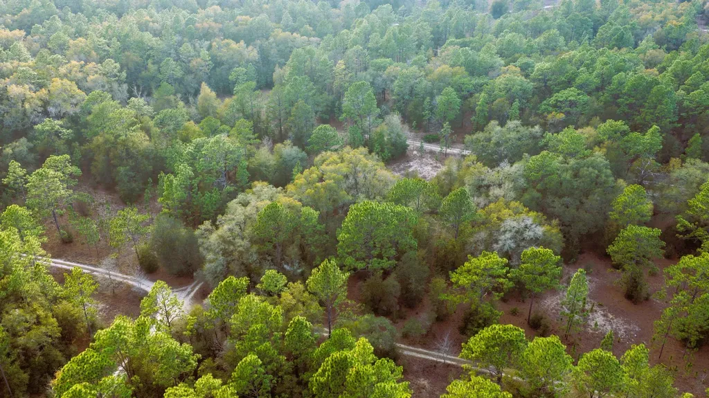 0 SW 152 Terrace Ocala FL 34481