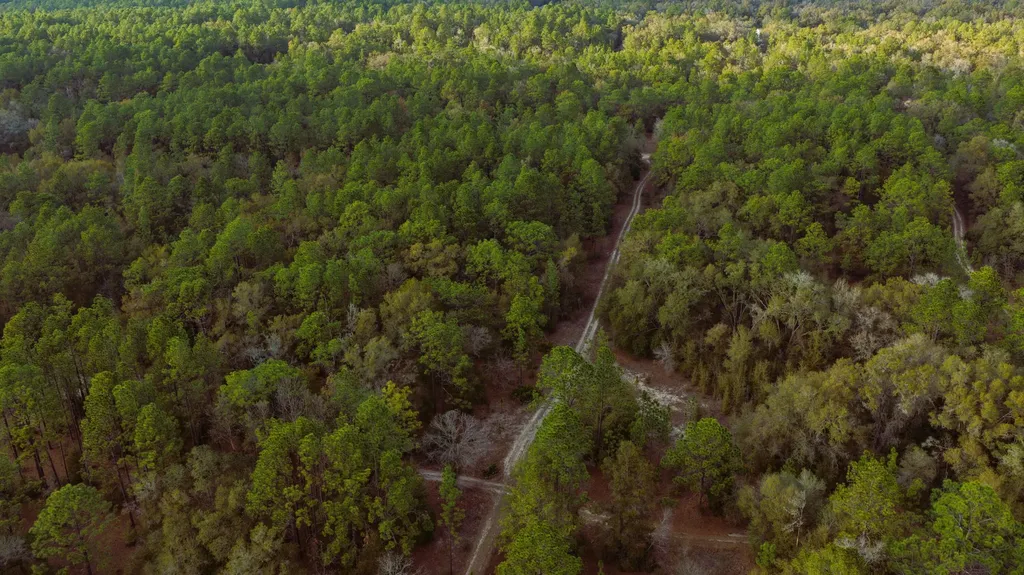 0 SW 152 Terrace Ocala FL 34481