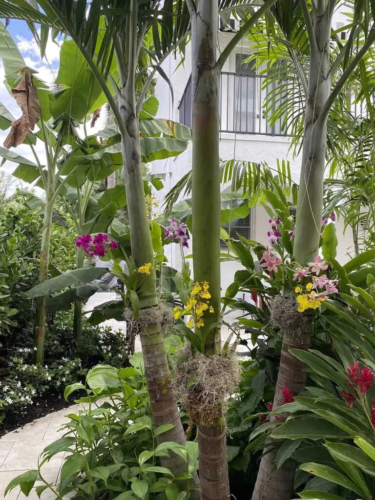 634 SE 3rd Avenue Delray Beach FL 33483