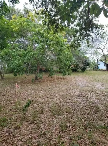_ SW 56th Avenue Davie FL 33314