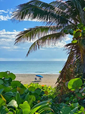 700 E Boynton Beach Boulevard Boynton Beach FL 33435