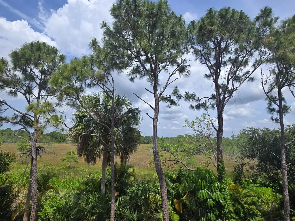 8955 Okeechobee Boulevard West Palm Beach FL 33411