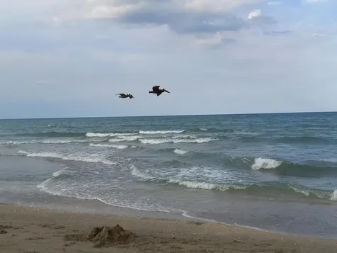 9960 S Ocean Drive Jensen Beach FL 34957