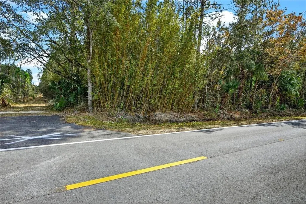 0 Old Haw Creek Road Bunnell FL 32110
