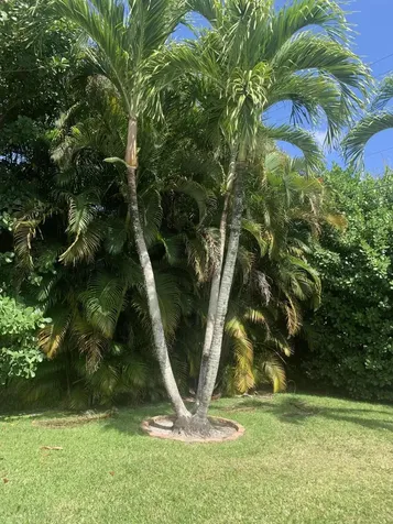 3194 Pebble Beach Drive Lake Worth FL 33467