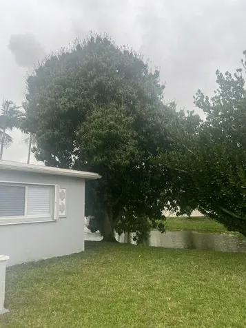 4680 NW 39th Street Lauderdale Lakes FL 33319