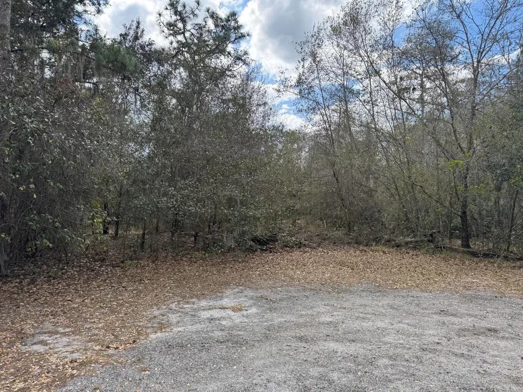 000 1st Street Kenansville FL 34739