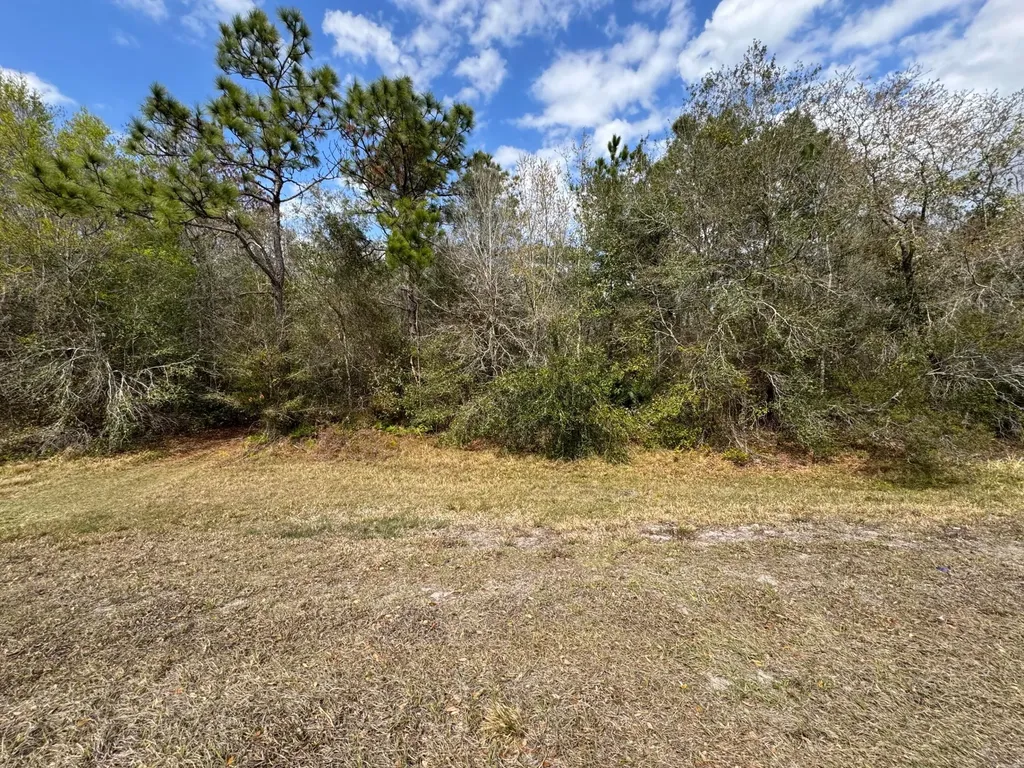 000 Canoe Creek Road Kenansville FL 34739