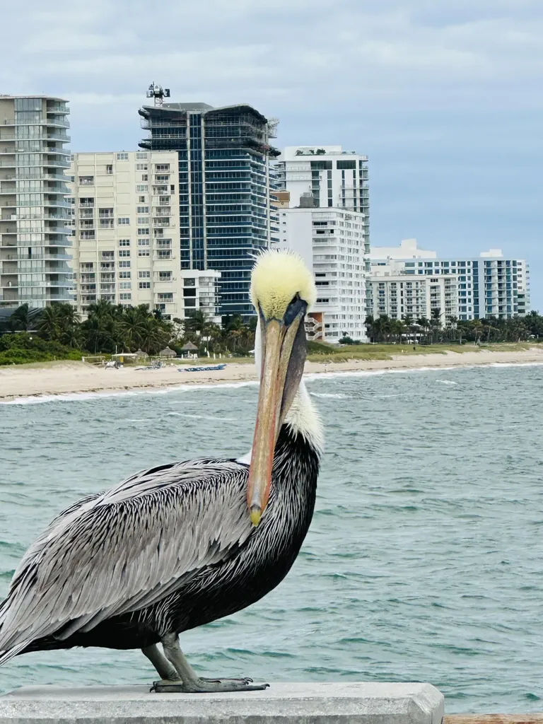 750 N Ocean Boulevard Pompano Beach FL 33062