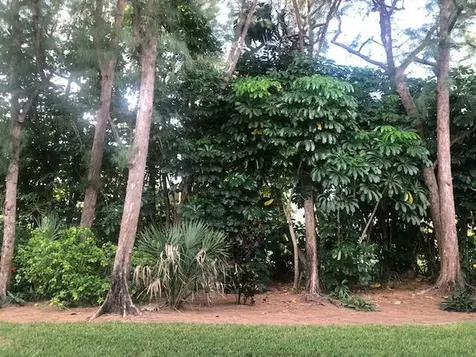 1262 Sugar Sands Boulevard West Palm Beach FL 33404